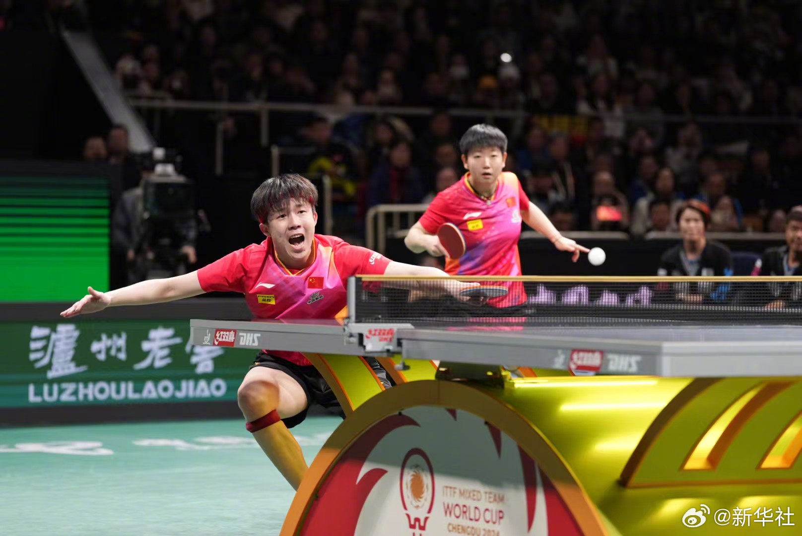 乒乓球决赛,中国队成功卫冕! 乒乓球决赛,中国队成功卫冕!